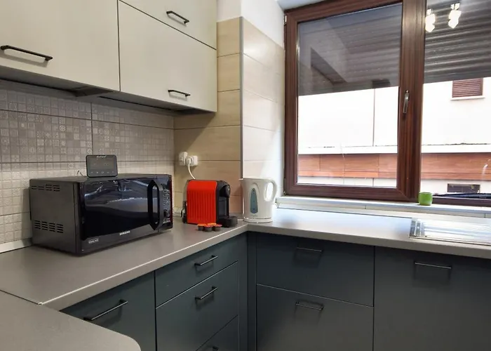 Urban Retreat By Herăstrău Park Bucureşti